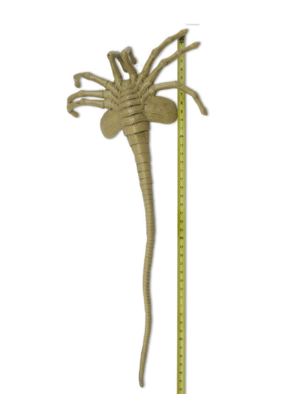 BUY ALIEN - LIFE-SIZE FACEHUGGER FOAM PROP REPLICA | NECA ONLINE AU  