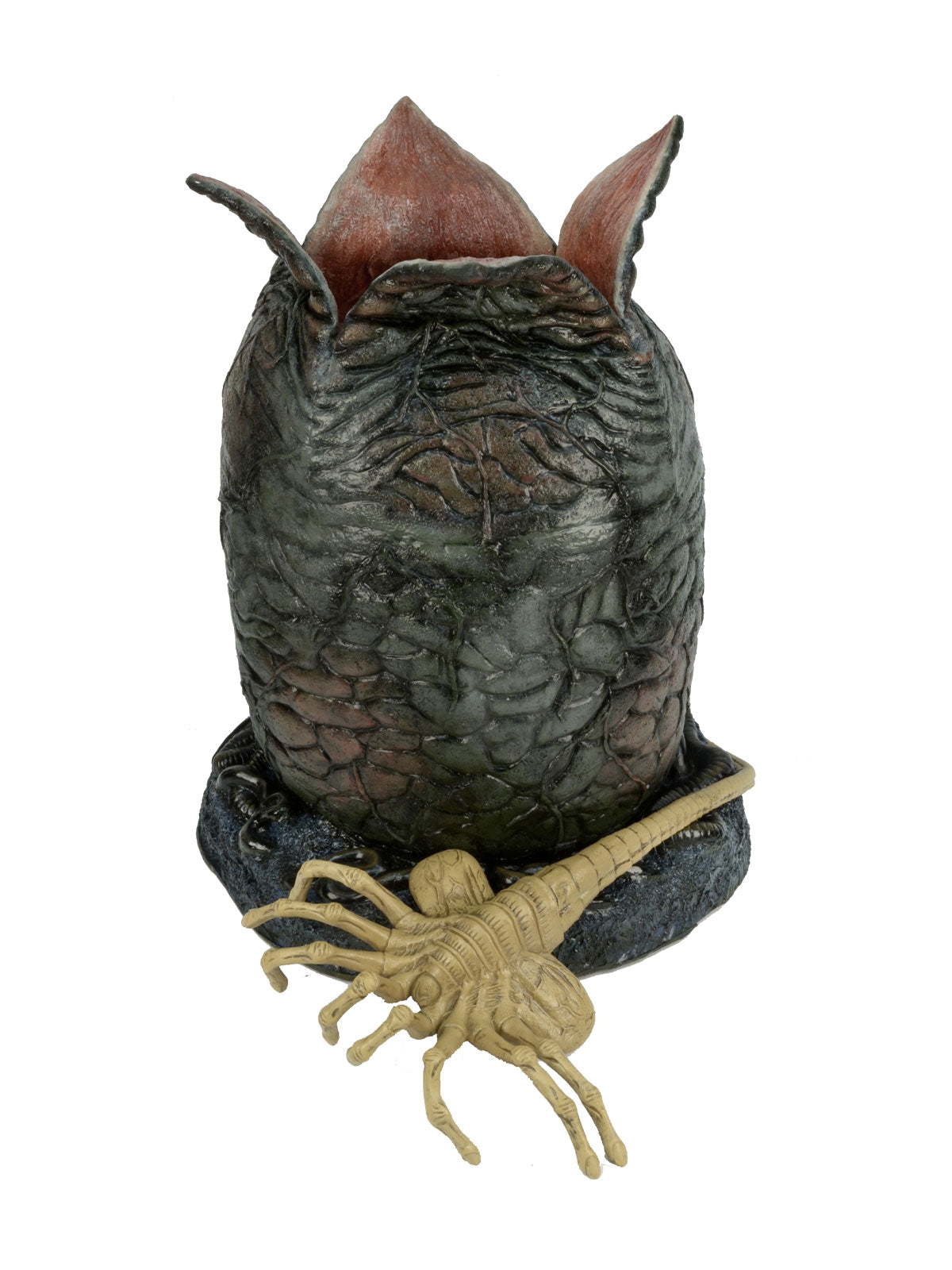 BUY ALIEN - LIFE-SIZE EGG AND FACEHUGGER FOAM REPLICA  | NECA ONLINE AU 