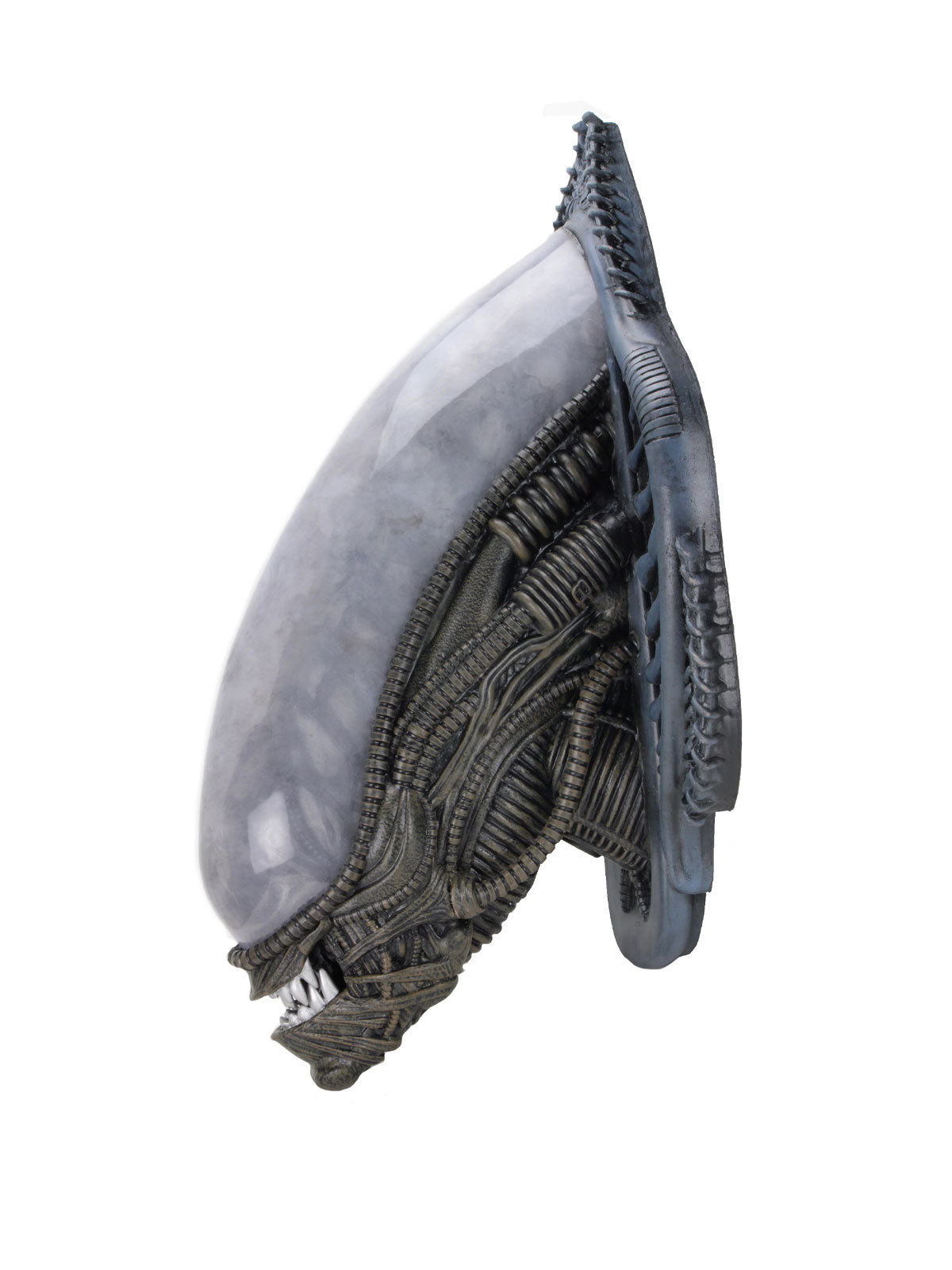 BUY ALIENS - XENOMORPH WALL-MOUNTED BUST FOAM REPLICA | NECA ONLINE AU