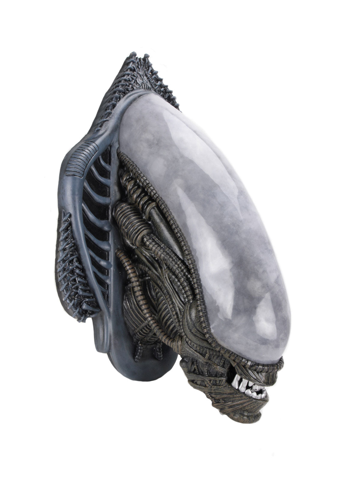 BUY ALIENS - XENOMORPH WALL-MOUNTED BUST FOAM REPLICA | NECA ONLINE AU