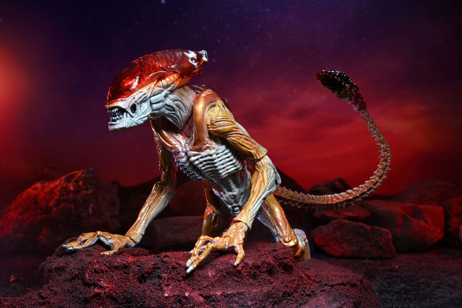 BUY ALIENS - PANTHER ALIEN KENNER TRIBUTE 7&quot; ACTION FIGURE | NECA ONLINE AU