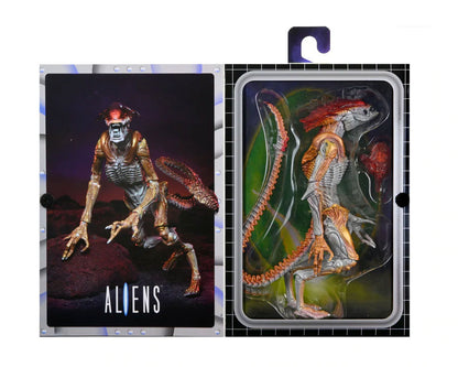 BUY ALIENS - PANTHER ALIEN KENNER TRIBUTE 7&quot; ACTION FIGURE | NECA ONLINE AU