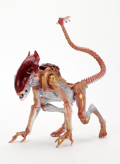 BUY ALIENS - PANTHER ALIEN KENNER TRIBUTE 7&quot; ACTION FIGURE | NECA ONLINE AU