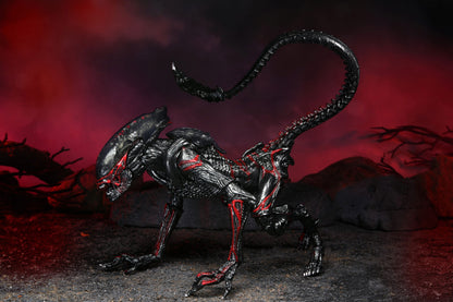 BUY ALIENS - NIGHT COUGAR KENNER TRIBUTE 7&quot; ACTION FIGURE | NECA ONLINE AU