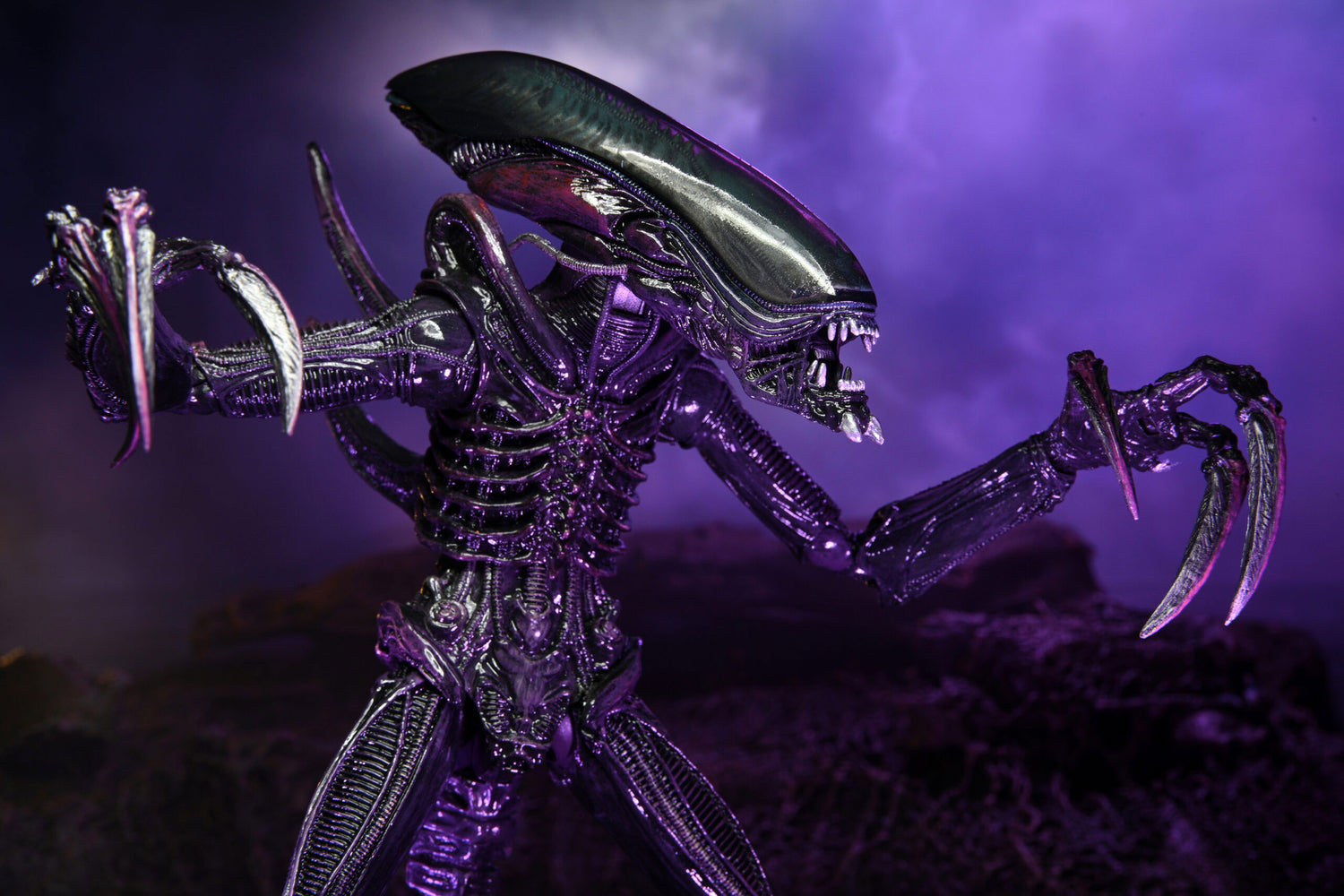 BUY ALIEN VS PREDATOR - RAZOR CLAWS 7&quot; ACTION FIGURE  | NECA ONLINE AU