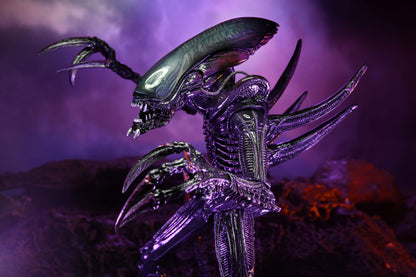 BUY ALIEN VS PREDATOR - RAZOR CLAWS 7&quot; ACTION FIGURE  | NECA ONLINE AU