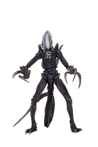 BUY ALIEN VS PREDATOR - RAZOR CLAWS 7&quot; ACTION FIGURE  | NECA ONLINE AU