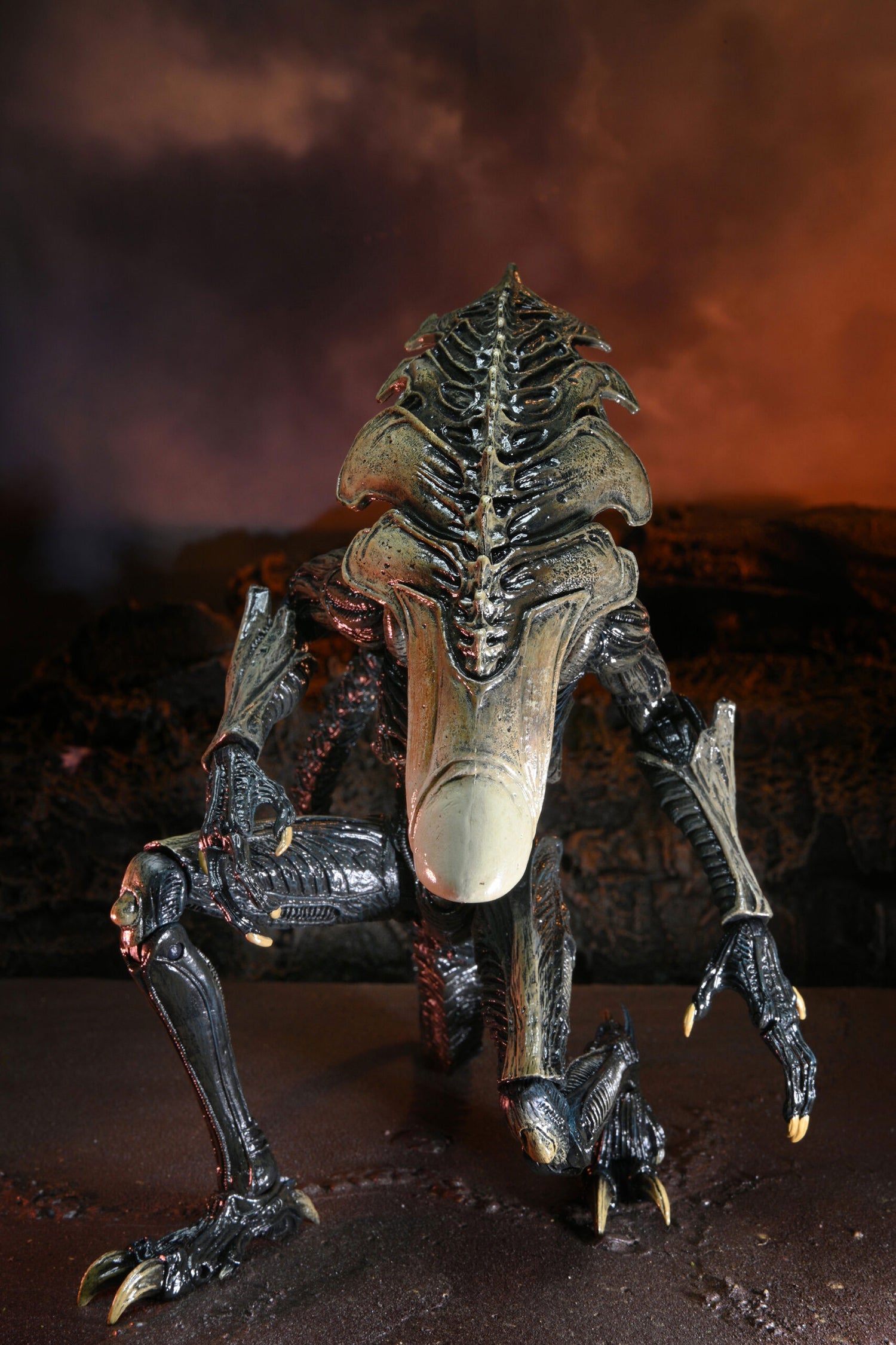 BUY ALIEN VS PREDATOR - CHRYSALIS ALIEN 7&quot; ACTION FIGURE  | NECA ONLINE AU 