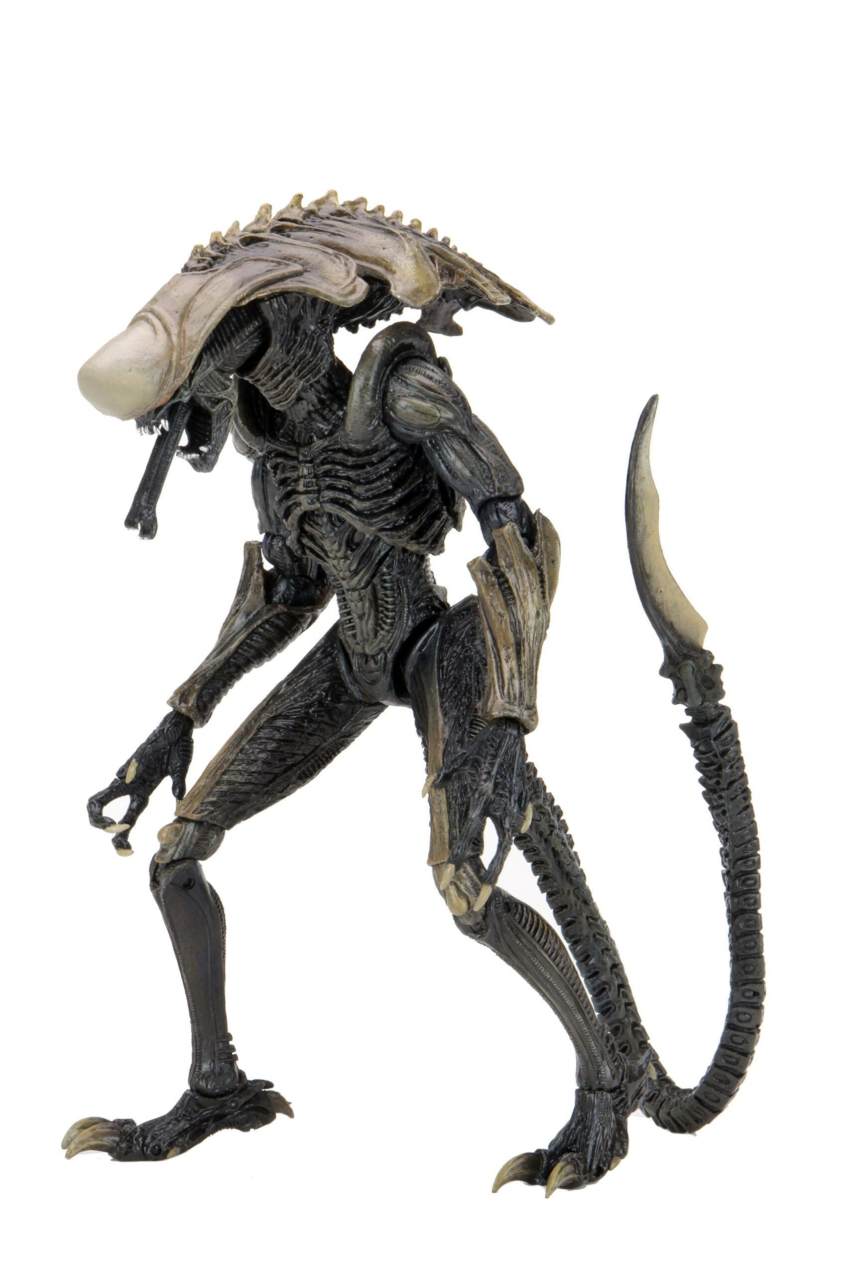 BUY ALIEN VS PREDATOR - CHRYSALIS ALIEN 7&quot; ACTION FIGURE  | NECA ONLINE AU 