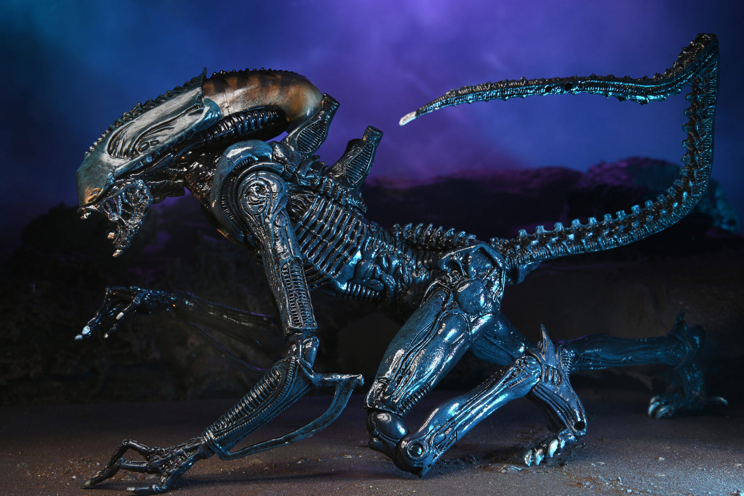 BUY ALIEN VS PREDATOR - ALIENS ARACHNOID 7&quot; ACTION FIGURE  | NECA ONLINE AU 