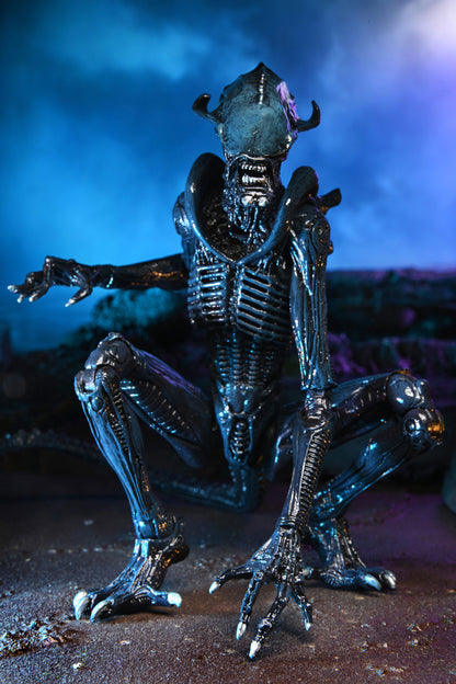 BUY ALIEN VS PREDATOR - ALIENS ARACHNOID 7&quot; ACTION FIGURE  | NECA ONLINE AU 