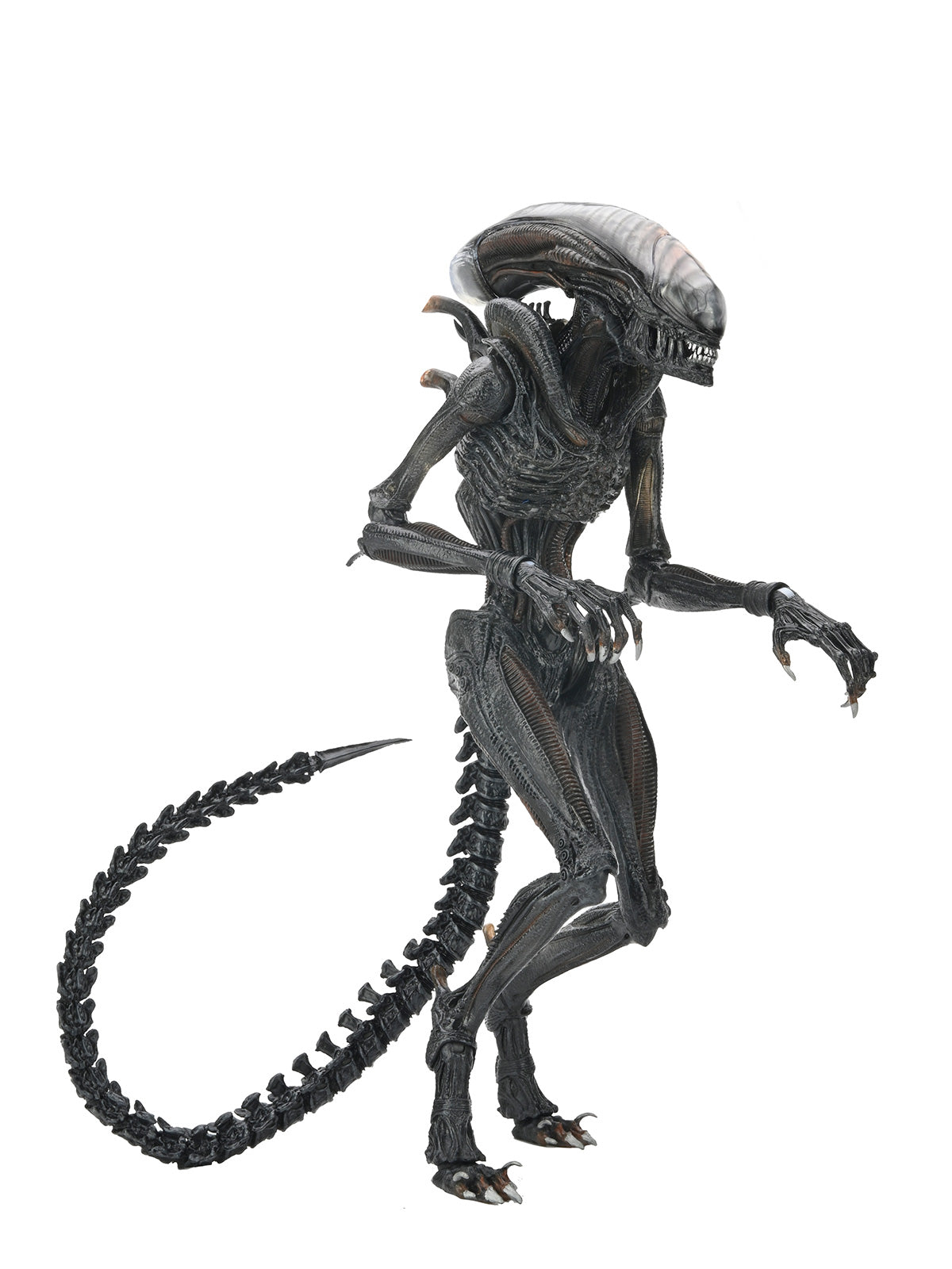 BUY NOW - ALIEN ROMULUS - ULTIMATE SCORCHED XENOMORPH - 7&quot; SCALE ACTION FIGURE | NECAONLINE AU