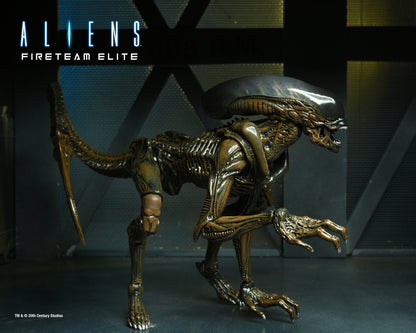 BUY ALIENS - FIRETEAM ELITE RUNNER ALIEN 7&quot; ACTION FIGURE | NECA ONLINE AU