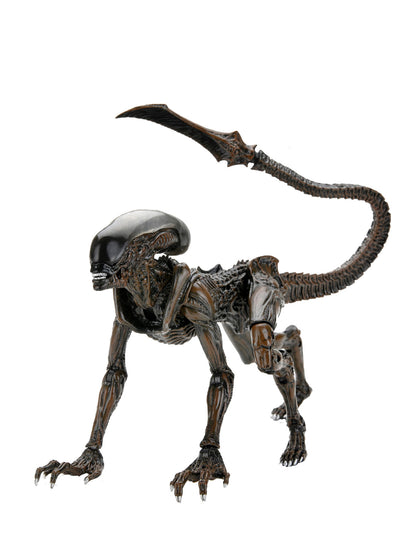 BUY ALIENS - FIRETEAM ELITE RUNNER ALIEN 7&quot; ACTION FIGURE | NECA ONLINE AU